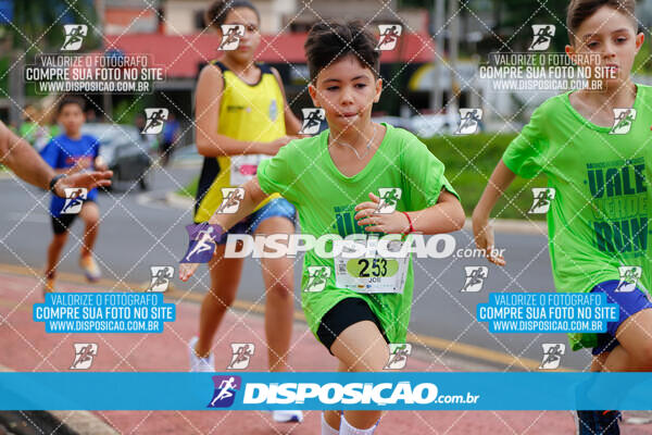 Vale Verde Run 2024