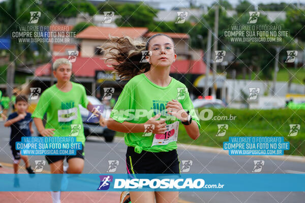 Vale Verde Run 2024