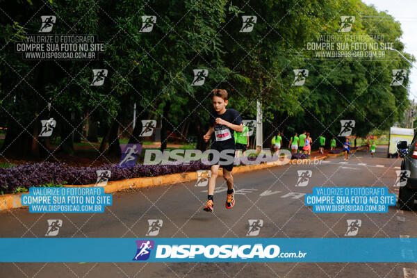 Vale Verde Run 2024