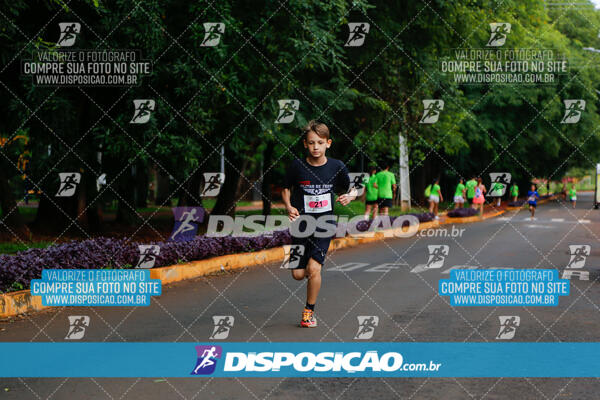 Vale Verde Run 2024