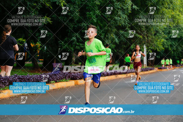 Vale Verde Run 2024