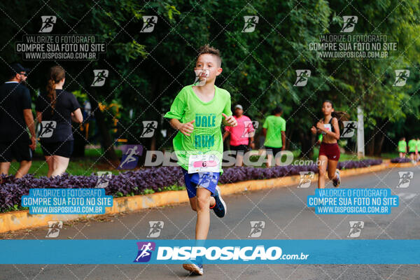 Vale Verde Run 2024