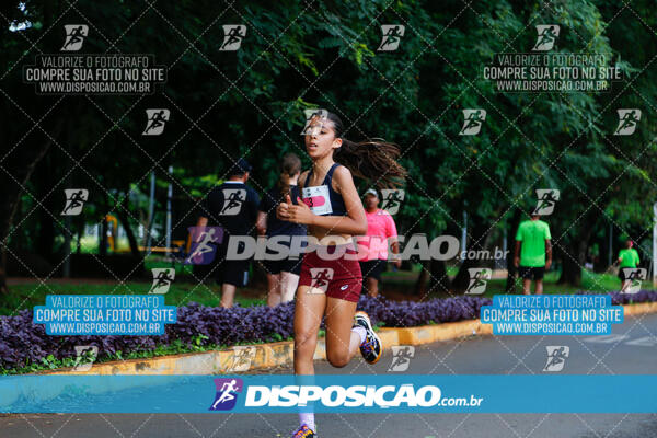 Vale Verde Run 2024