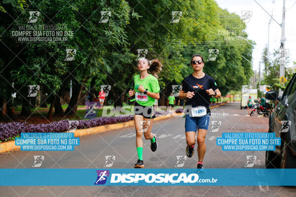 Vale Verde Run 2024