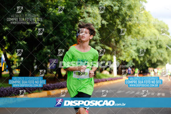 Vale Verde Run 2024