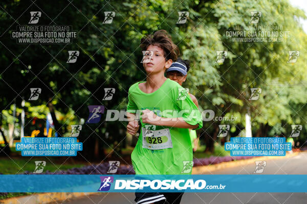 Vale Verde Run 2024