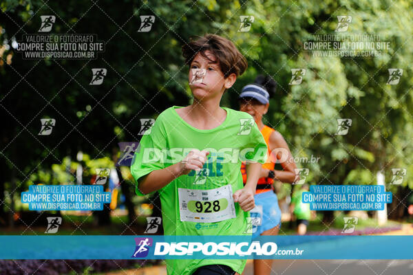 Vale Verde Run 2024