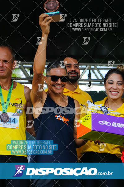 Vale Verde Run 2024