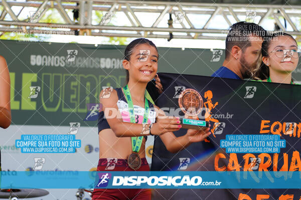 Vale Verde Run 2024