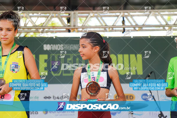 Vale Verde Run 2024