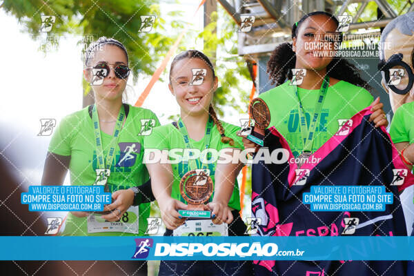 Vale Verde Run 2024