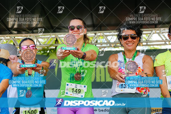 Vale Verde Run 2024