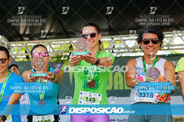 Vale Verde Run 2024