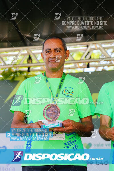 Vale Verde Run 2024