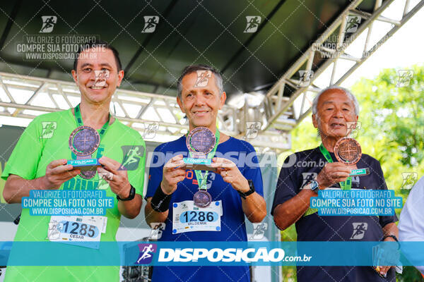 Vale Verde Run 2024