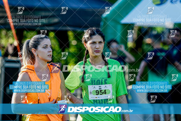 Vale Verde Run 2024