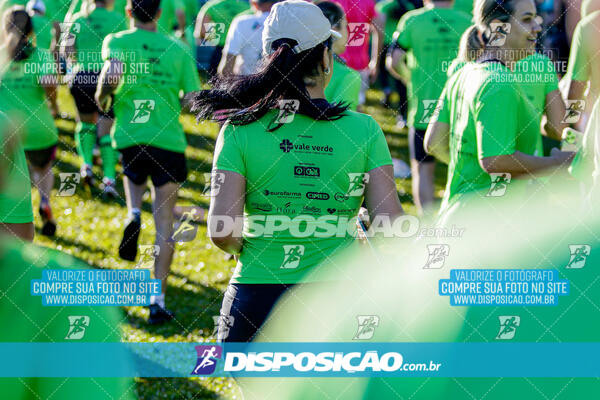 Vale Verde Run 2024