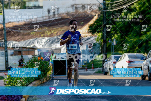 Vale Verde Run 2024