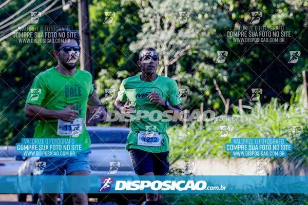 Vale Verde Run 2024