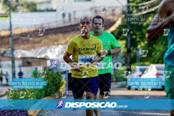 Vale Verde Run 2024