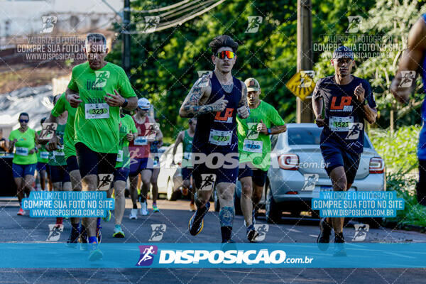 Vale Verde Run 2024