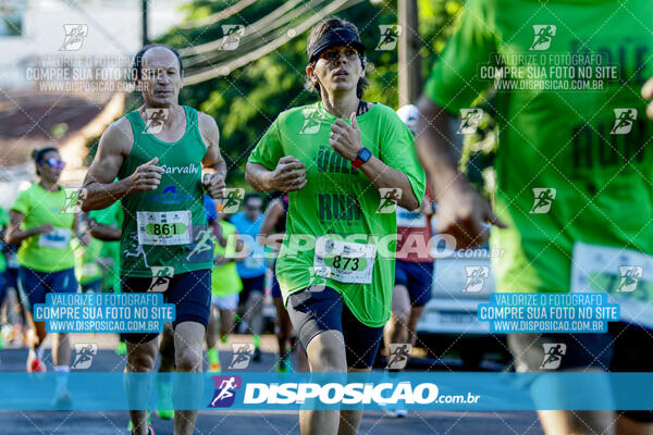 Vale Verde Run 2024