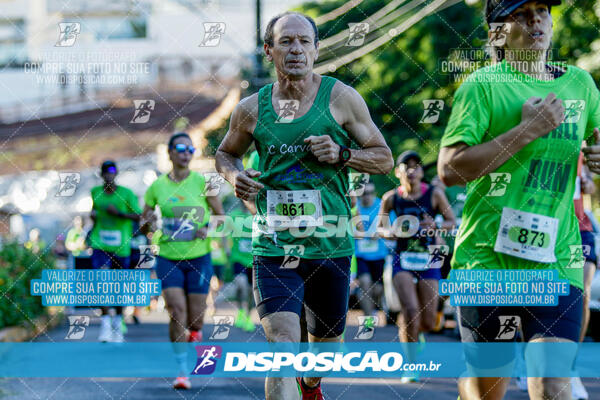 Vale Verde Run 2024