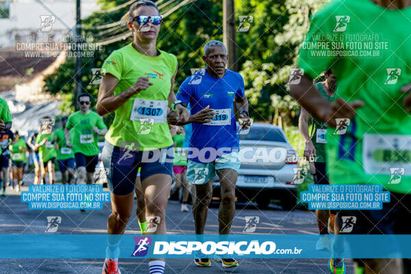 Vale Verde Run 2024