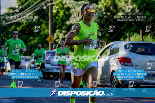 Vale Verde Run 2024