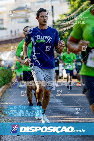 Vale Verde Run 2024