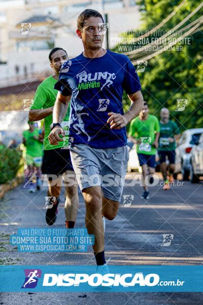 Vale Verde Run 2024