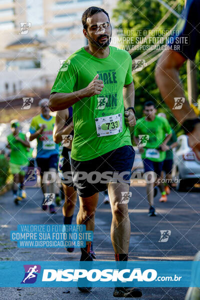 Vale Verde Run 2024