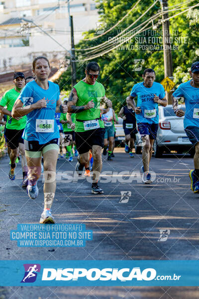 Vale Verde Run 2024