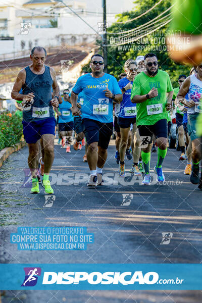 Vale Verde Run 2024