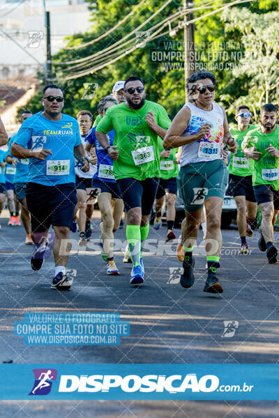 Vale Verde Run 2024