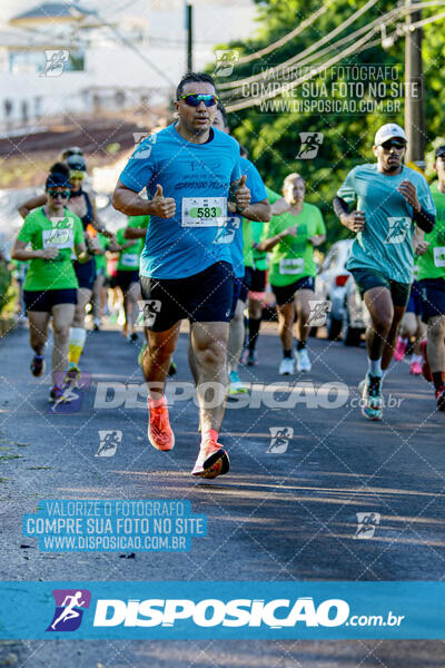 Vale Verde Run 2024