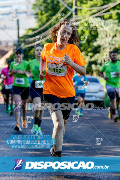 Vale Verde Run 2024