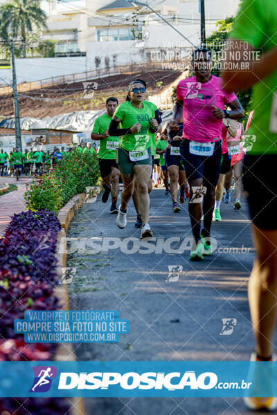 Vale Verde Run 2024