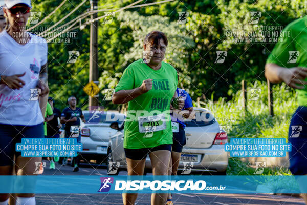 Vale Verde Run 2024