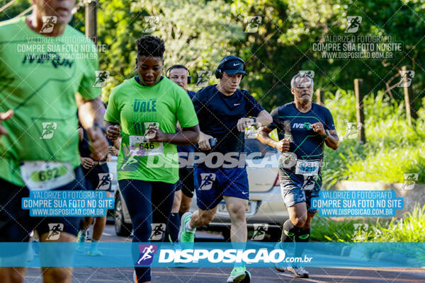 Vale Verde Run 2024