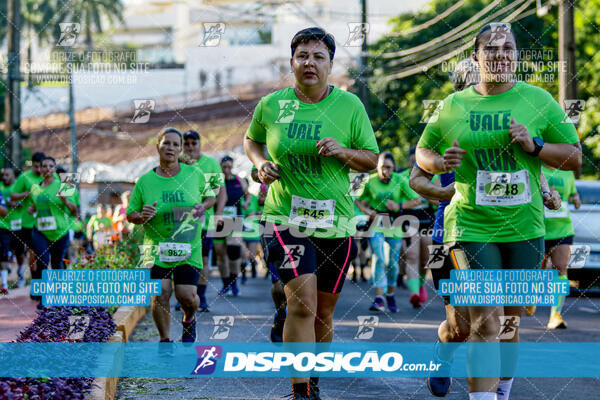 Vale Verde Run 2024