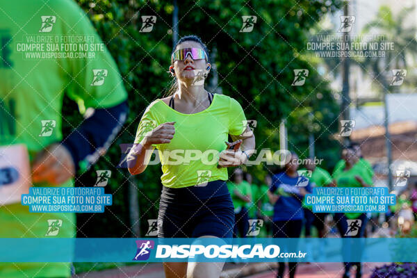 Vale Verde Run 2024