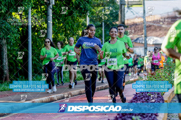 Vale Verde Run 2024