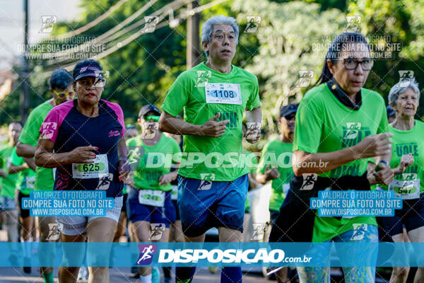 Vale Verde Run 2024