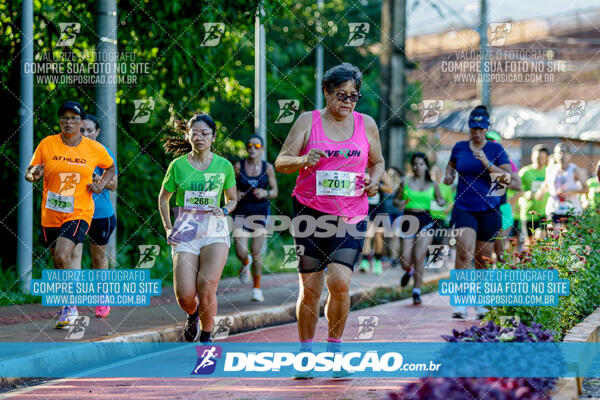 Vale Verde Run 2024