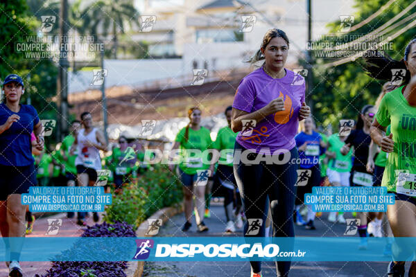 Vale Verde Run 2024