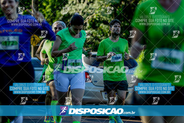 Vale Verde Run 2024