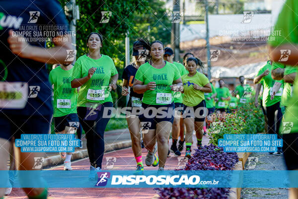 Vale Verde Run 2024