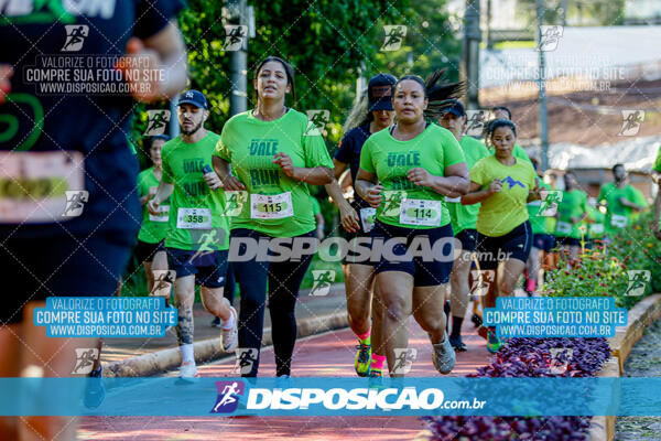 Vale Verde Run 2024