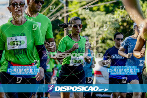 Vale Verde Run 2024